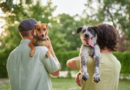 Essential Tips To Make Your Dog More Social